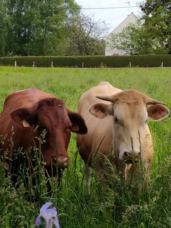 La Chaussee d'Olivet en Mayenne Extérieur photo