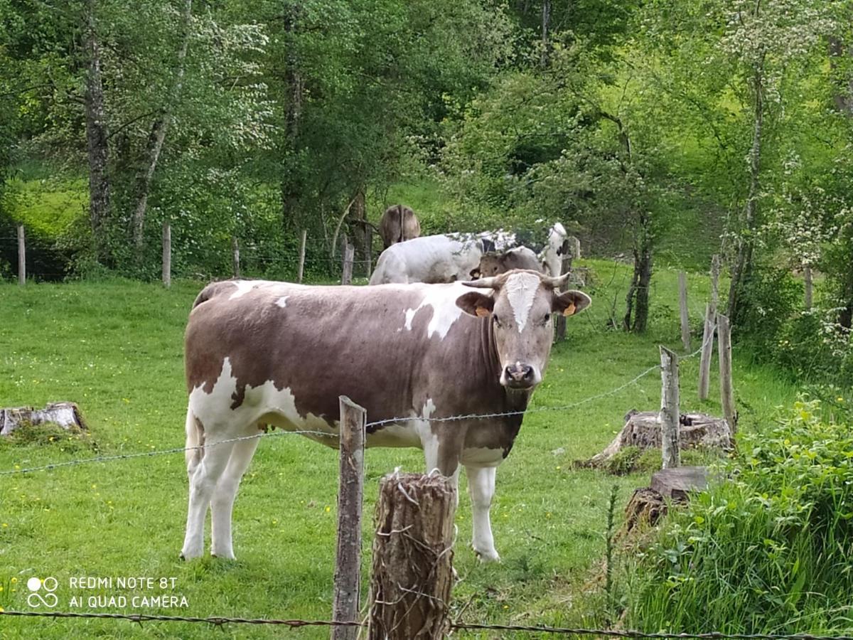 La Chaussee d'Olivet en Mayenne Extérieur photo