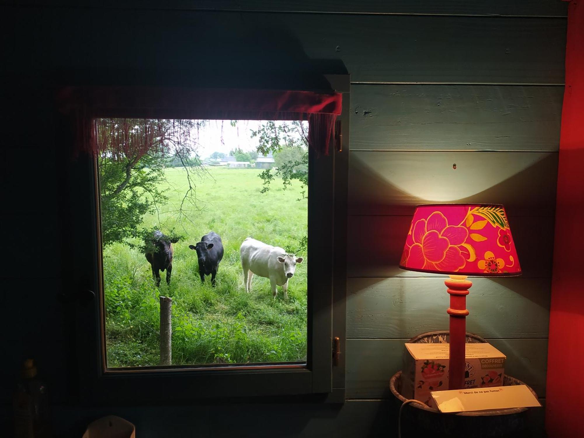 La Chaussee d'Olivet en Mayenne Chambre photo